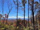 0000 New Sprout Lane Lot 3 sold home in Hendersonville, SC