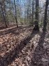 000 Twin Maple Way 5 sold home in Mill Spring, SC