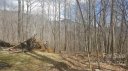 1 Plott Balsam Drive 1 Cranberry Section sold home in Maggie Valley, SC