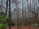 9 Fire Fly Lane 70 sold home in Hendersonville, SC
