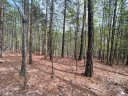 0 Jons Forest Drive Lot 8 sold home in Nebo, SC