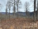 0000 Glen Haven Cove 67 sold home in Hendersonville, SC