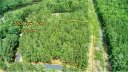 560 Cove Wood Drive 77 sold home in Denton, SC