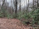 000 Holland Drive sold home in Maggie Valley, SC