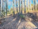19 N Willow Wood Trail sold home in Hendersonville, SC