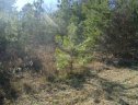 Lot 36 Ravenwood Circle sold home in Piedmont, SC