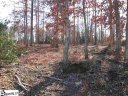 23 Twin Silo Court sold home in Greer, SC