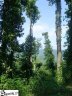 105 Bella Vista Court Cv-Cm-1 Valley, Corbin Mountain, Lot 1 sold home in Zirconia, SC