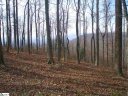 232 Bella Vista Court Cv-Cm-8 Valley, Corbin Mountain, Lot 8 sold home in Zirconia, SC