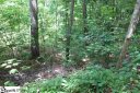 Lots 68 & 67 Wildflower Lane sold home in Travelers Rest, SC