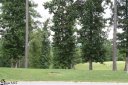 5 Ping sold home in Travelers Rest, SC