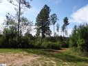 29 Big Jake Pass sold home in Travelers Rest, SC