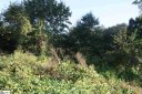 Lot 37 Paddington Avenue sold home in Greenville, SC