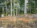 354 Woodmere Drive Lot 67 - Rock at Jocassee sold home in Pickens, SC