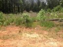 126 Dace Drive sold home in Pickens, SC