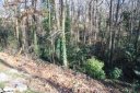 39 English Ivy Lane Lot 39 sold home in Greenville, SC