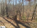 802 Scharlin Drive sold home in Pickens, SC