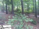 1 The Summit sold home in Greenville, SC
