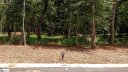 0 Laurel Grove Lot 19 sold home in Simpsonville, SC