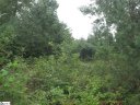 342 Woodmere Drive Lot 65 sold home in Pickens, SC