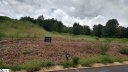 14 Meadow Reserve Place Lot 26 sold home in Simpsonville, SC