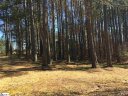 309 Meadow Tree Court sold home in Travelers Rest, SC