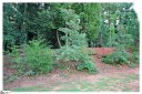 00 English Ivy Lane LOT# 41 sold home in Greenville, SC
