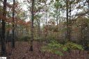 29 Danna View Court sold home in Marietta, SC