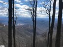 Cliffsview Court sold home in Zirconia, SC