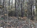 862 Dunklin Bridge Road sold home in Fountain Inn, SC