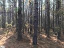 872 Dunklin Bridge Road sold home in Fountain Inn, SC