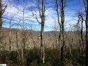 Spruce Lane sold home in Zirconia, SC