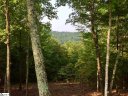 203 Blue Spruce Trail sold home in Marietta, SC
