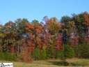 109 Cabernet Way sold home in Travelers Rest, SC