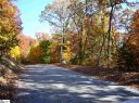 22 Alsace Way sold home in Travelers Rest, SC