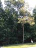 35 Terra Trace Way sold home in Travelers Rest, SC