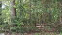 Pine Drive sold home in Taylors, SC