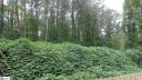 00 Forest Drive sold home in Travelers Rest, SC