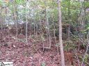 329 Woodmere Drive Lot 97 sold home in Pickens, SC