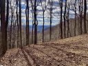 1347 Panther Park Trail sold home in Travelers Rest, SC