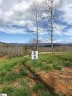 109 Meadow View Drive Lot 21 sold home in Marietta, SC