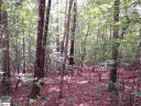 00 Shepherd Springs Drive Lot 12B Shepherd Springs sold home in Cleveland, SC