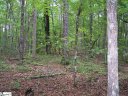 23B Curts Way sold home in Cleveland, SC