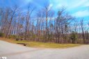 125 Falling Leaf Drive sold home in Travelers Rest, SC