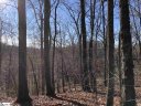 9 Rhone Valley Lane sold home in Travelers Rest, SC