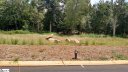 15 Meadow Reserve Place Lot 11 sold home in Simpsonville, SC