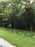 202 Peninsula Drive Lot 210 sold home in Laurens, SC