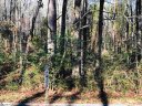 124 Greybridge Road sold home in Pelzer, SC