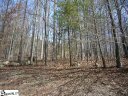 227 Luberon Lane sold home in Travelers Rest, SC