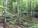 44 Danna View Court sold home in Marietta, SC